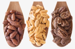 Handled With Care - Almond #8406730