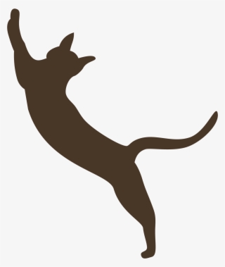 Country - Dog Catches Something #8406731