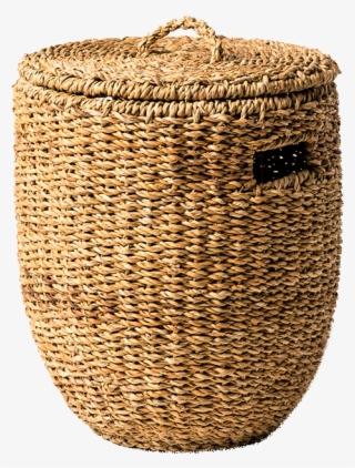 Bozy-098 #8406820
