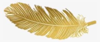 Gold Feather Feathers Native Boho Pretty Decals Decor - Gold #8406992