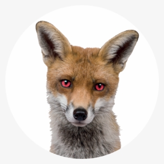 Devil Eyes Png #8407779