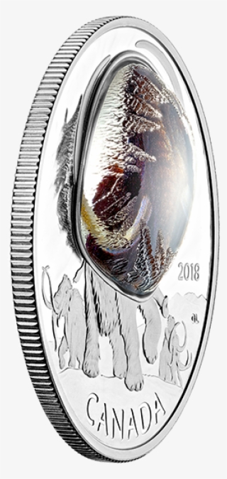 Pure Silver Coloured Coin Frozen In Ice - Silver #8408140