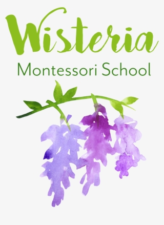 Welcome To Wisteria Montessori School, A Wildflower - Bellflower #8408586 Welcome To Wisteria Montessori School, A Wildflower - Bellflower #8408586