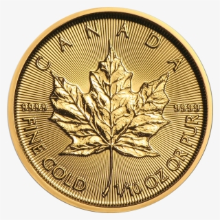 2019 Canadian Maple 1/10oz Gold Coin - 1 10 Oz Gold Maple #8408809