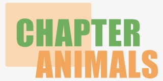 Tv Oyten Vampires #8408879 Tv Oyten Vampires #8408879