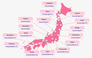 Map - Japan Map Background #8410034