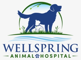 Dog Catches Something #8410818