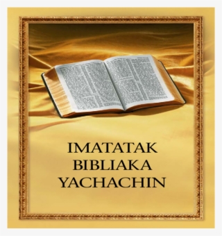 Does The Bible Really Teach #8412968