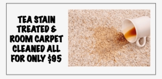 Carpet Cleaning Plus Tea Stain Removed - Team Zeltech #8413275