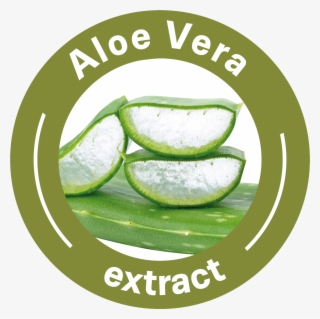 Aloe Vera Textile - Aloe Vera Extract Icon #8414251