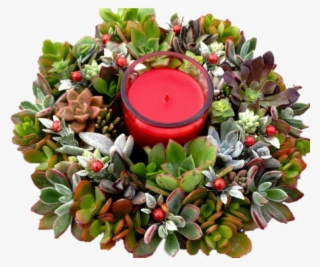 The First Form #8414288