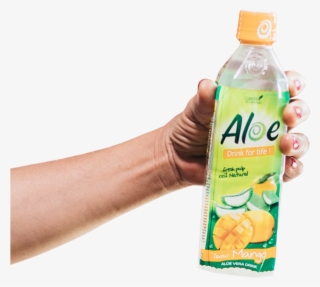 Regular - Plastic Bottle #8414897