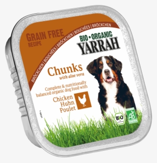 Dog - Yarrah #8415609