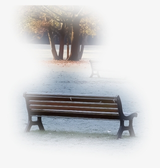 Tree Park Bench Garden Field Nature Foreground Backgrou - Bench #8417579