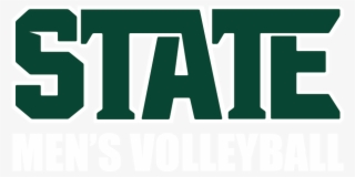Michigan State Logo Png - Michigan State New Font #8422678