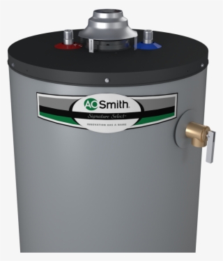 Atmospheric Vent - Ao Smith #8422726