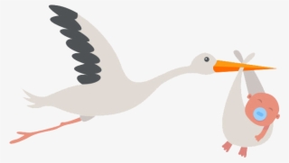Stork Png Transparent Background - Duck #8423416