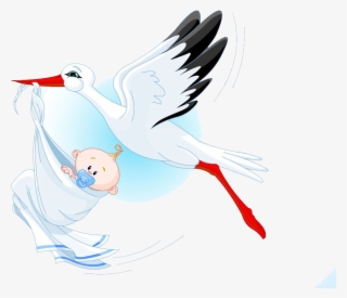 Pigeons And Doves #8423453