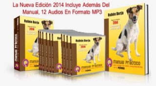 Pack - Animals #8424517