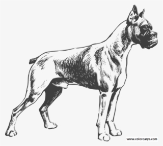 Dibujos Colorear Perro #8424564