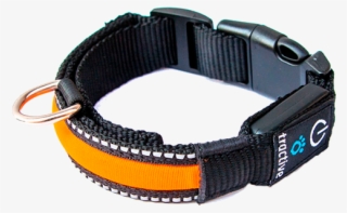 Collar Para Perros Led Tractive - Accesorio De Perro Png #8424721