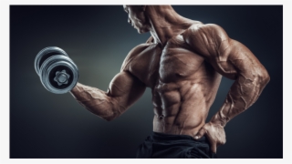 There Are Numerous Supplements In The Market That Improves - Bodybuilding #8425065