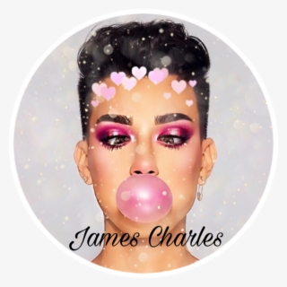 Sticker Sticker - James Charles Palette Pink Eyeshadow #8426350