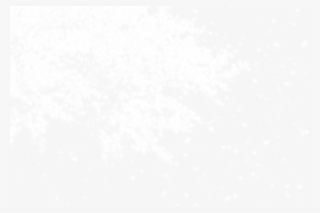 Pattern White Black Lights Night Png File Hd Clipart - Wedding Photography #8426387