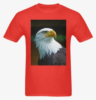 Bald Eagle #8427371 Bald Eagle #8427371