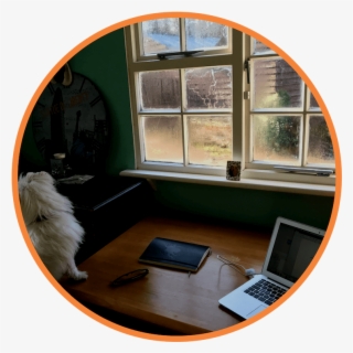 Writing Off Grid - Daylighting #8429964