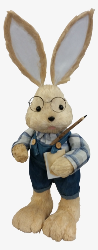 Peter Rabbit Going To School - Stuffed Toy #8430721
