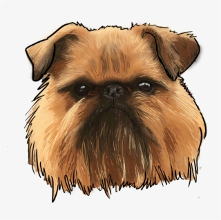 Brussels Griffon, Why Are You A Dog On This Episode - Companion Dog #8430885