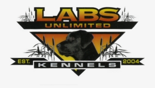 Labrador Retriever #8430936