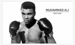 Signed Mohammed Ali Glove & 1st Edition Mohammed Ali - Muhammad Ali Boxing Lounge #8431019