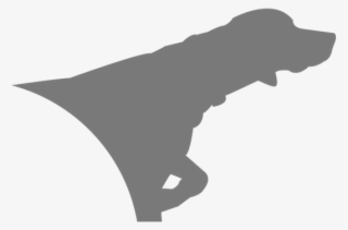 Our 2018-2019 Season Runs From Friday, September 15th - Silhouette #8431038