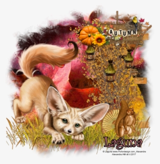 Juli - Fennec Fox #8431736