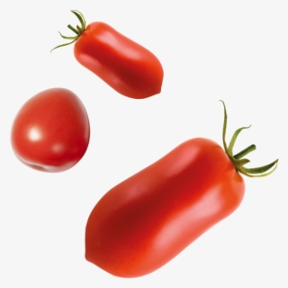 Tomatoes Taglierina With Manual Supply - Plum Tomato #8432698