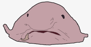 Exposed Reached 1000 Sales And 200 New Achievements #8434049