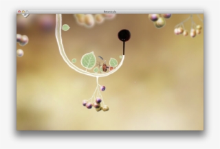 Level 2 - Floral Design #8434249