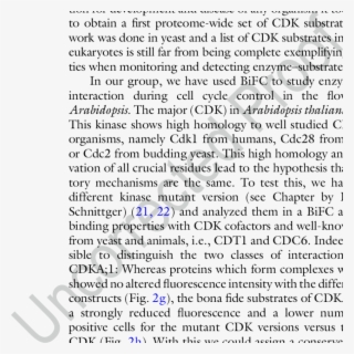 Infiltration Of Tobacco Leaves - Document #8434308