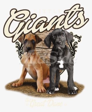 Little Giants, The Great Dane - Companion Dog #8435201