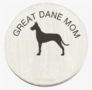 Dobermann #8435487