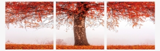 Autumn Tree 3 Piece Wall Decor - Autumn #8436018