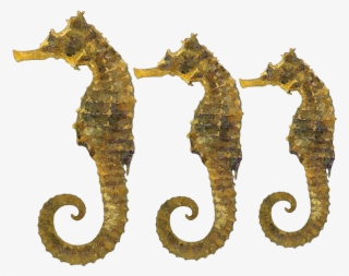 Related To Fish Vector Clip Art Online Royalty Free #8436095