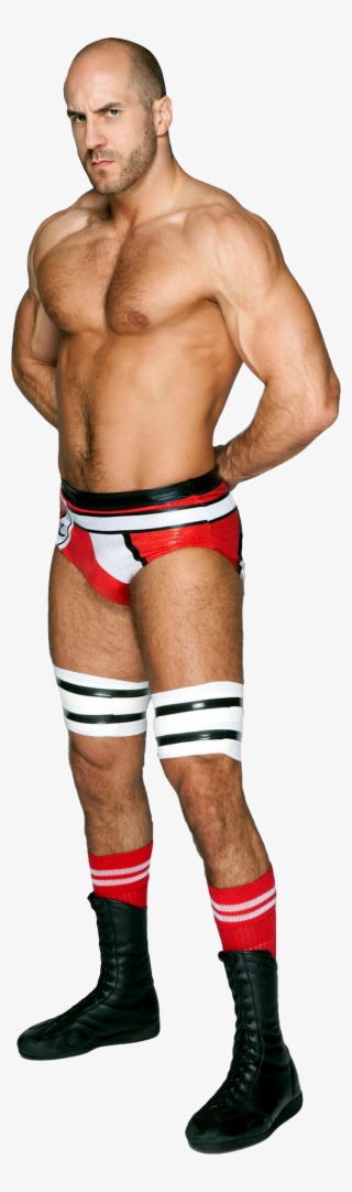 Stephanie Mcmahon 2017 Wrestlemania - Underpants #8438131