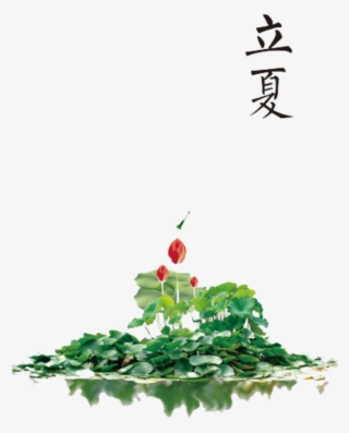 Fresh Forest Plants - Sacred Lotus #8440008