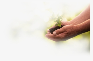 Make A Difference - Radish #8440189