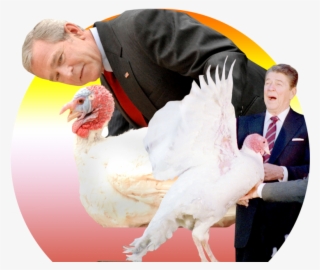 See The Latest News, Photos, And Videos About Bill - George W Bush Turkey #8442988