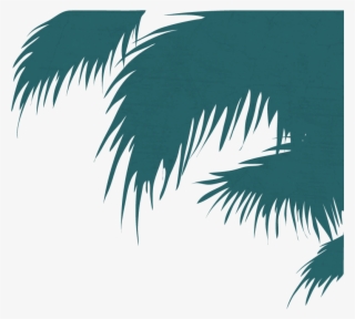 Latin Tuesdays - Attalea Speciosa #8443020