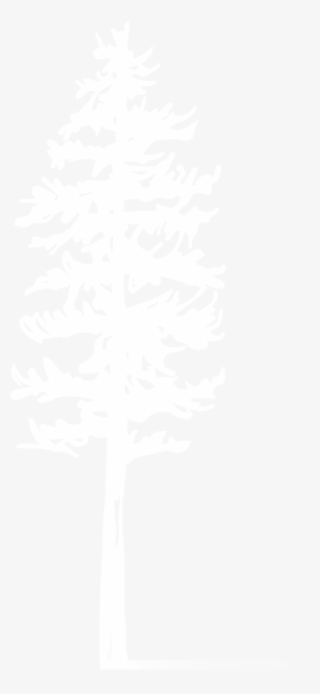 The King Pine Name - Darkness #8443426